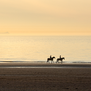 Horses on the beach