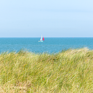 Helmgras en zeilboot